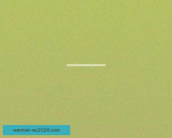 世界杯竞猜赔率全面对比分析，带你洞察投注机会和潜在回报