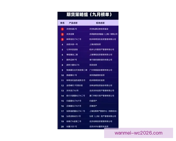 世界杯赛事投注策略全解析，助你科学提高中奖概率